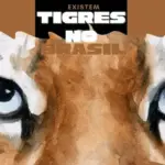 Brown Black International Tiger Day Instagram Story
