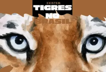 Brown Black International Tiger Day Instagram Story