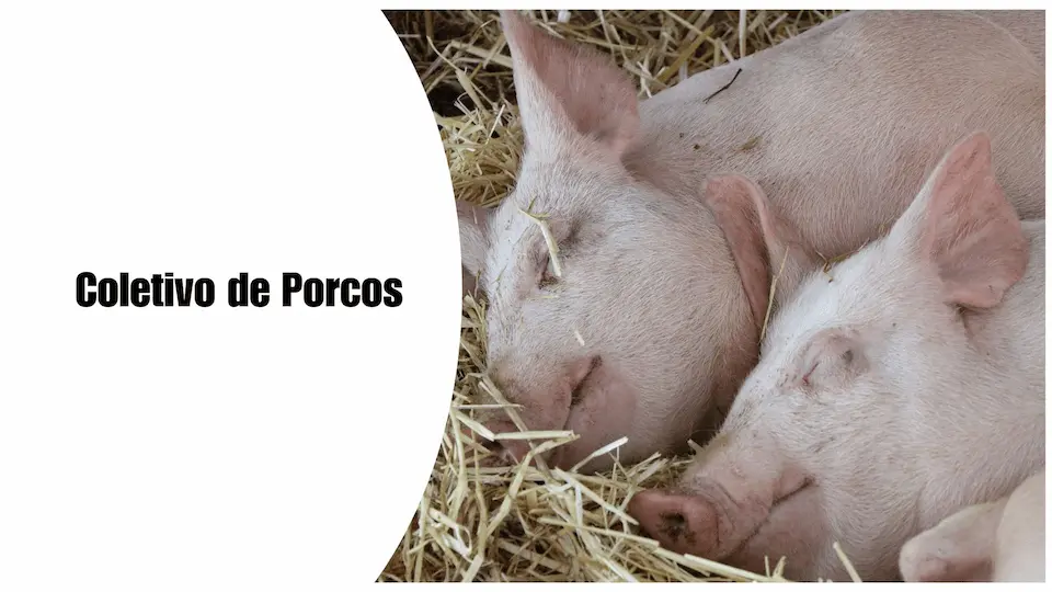 Colorful Realistic Farm Animal Information Presentation
