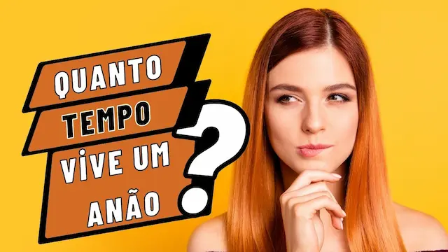 Orange and Yellow Fun Typographic Infographic Video Youtube Thumbnail